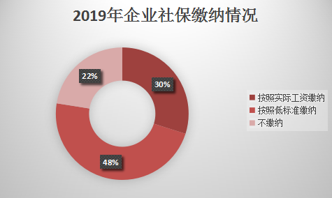2019年企业社保缴纳情况.png
