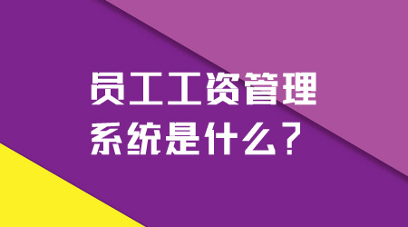 工资管理系统是什么