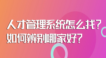 人才管理系统怎么找