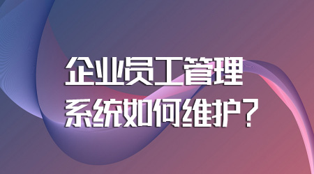 员工管理系统如何维护