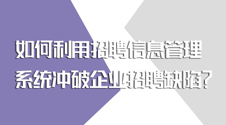 招聘信息管理系统