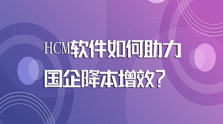 HCM软件如何