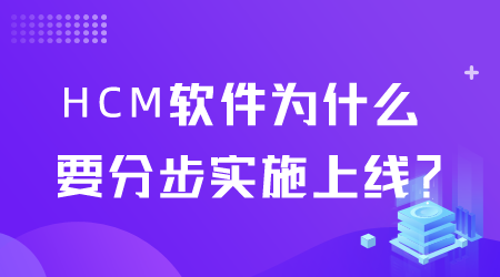 HCM软件实施上线.png