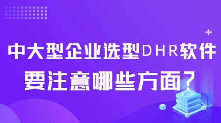 中大型企业选型DHR软件.png