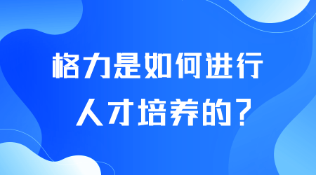 格力如何进行人才培养.png