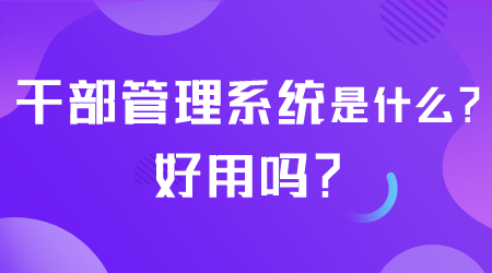 干部管理系统是什么.png