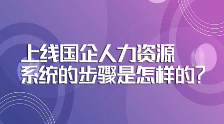 上线国企人力资源系统