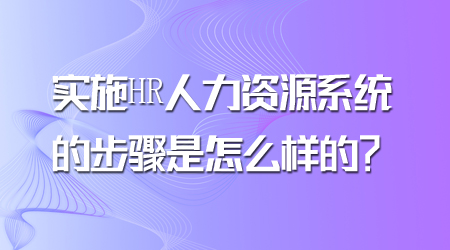 实施人力资源系统
