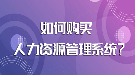 企业如何购买人力资源管理系统