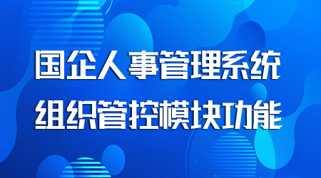 国企人事管理系统组织管控模块功能